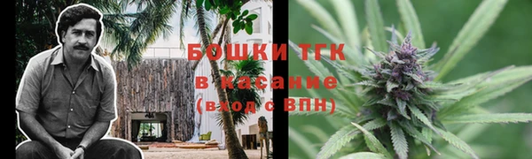 не бодяженный Арсеньев