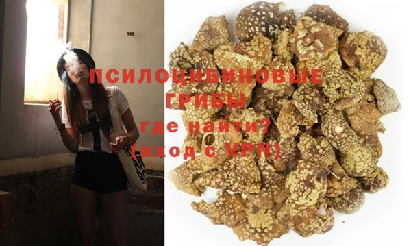 не бодяженный Арсеньев